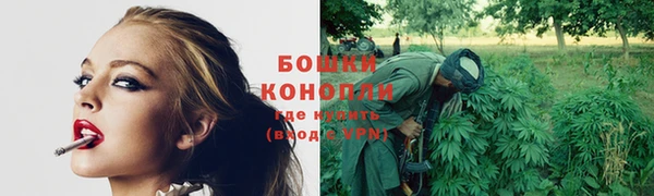 дживик Новокубанск