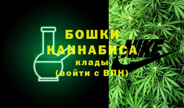 apvp Новозыбков