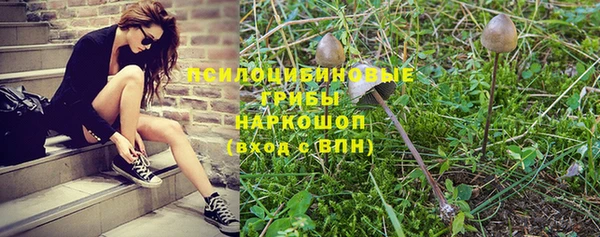 apvp Новозыбков