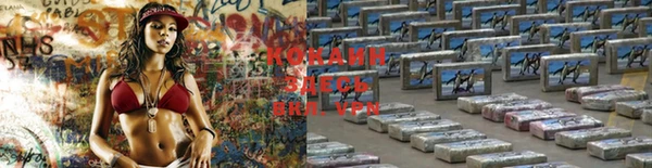 a pvp Новодвинск